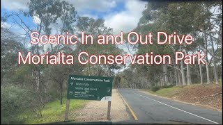 Scenic ‘In and Out’ Drive Morialta Conservation Park Adelaide South Australia [upl. by Arinaj]