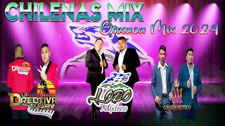 Lobo Mixteco ft La Directiva de Oaxaca ft Corazón Mixteco 🎶 Chilena Mixteca  Chilenas de Oaxaca [upl. by Yrtneg]