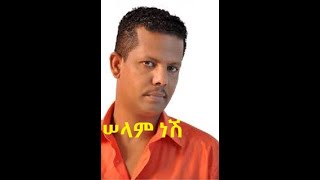 Geremew Asefa Selam Nesh Ethiopian Music [upl. by Etteniuq774]