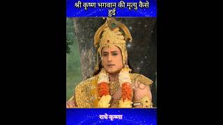 श्री कृष्ण की मृत्यु कैसे हुई shri krishna ki mratu kese hui vrindavan krishnastatus shorts [upl. by Darda99]