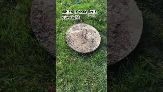 Why You Should Inspect Your Septic Access Covers Regularly [upl. by Lamar]