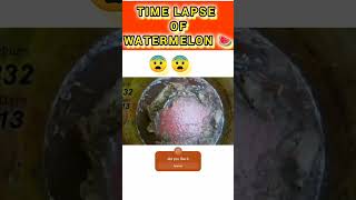 TIME LAPSE OF A WATERMELON IN 20 SEC shorts timelapse [upl. by Enaffit]