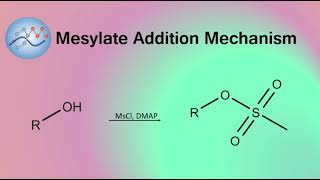 Adding Mesylate Group Mechanism  Organic Chemistry [upl. by Timoteo]