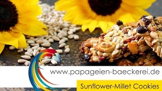 Make your own Parrot Cookies by parrotbakery  Sunflower  Millet Cookies [upl. by Ycart]