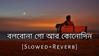 Bolbo Na Go Ar Kono Din  Slowed And Reverb  Baul Sukumar  Bengali Lofi Song  10 PM BENGALI LOFI [upl. by Pickford]