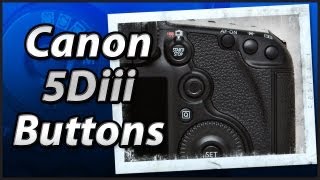 Canon 5Diii  External Buttons  Training Tutorial Manual Video [upl. by Lacym]