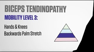 Climbing Biceps Tendinopathy  Biceps Stretch [upl. by Burford]