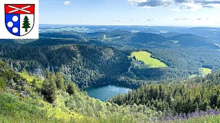 Black Forest Feldberg 1493 m  Feldbergsteig Feldsee circular hike 12 km [upl. by Marty]