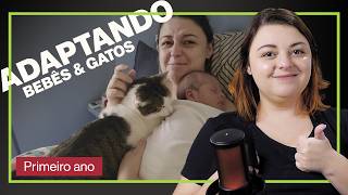 Como ADAPTAR Gatos e Crianças  Parte 1 Primeiro ano [upl. by Gwendolyn]