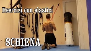 15 esercizi con gli elastici per la schiena [upl. by Eedahs]