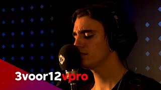 Tamino  Live at 3voor12 Radio [upl. by Chesney337]