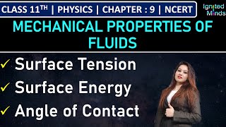 Class 11th Physics  Surface Tension  Surface Energy  Angle of Contact  Chapter 9  NCERT [upl. by Yenffit618]