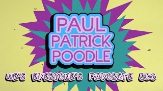 THAC TVs Paul Patrick Poodle Hes Everyones Favorite Dog [upl. by Verene]