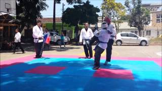 HAPKIDO Intercambio deportivo  Tulua 2014 [upl. by Aisenet]