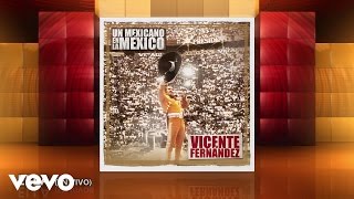 Vicente Fernández  Ella Cover Audio [upl. by Kiryt]