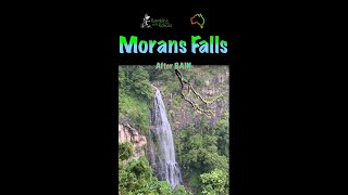 Morans Falls  Lamington National Park  OReillys lamingtonnationalpark Moransfalls Oreillys [upl. by Eenahc]