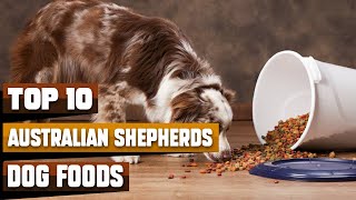 Dog Foods for Australian Shepherds 🐕‍🦺 Top Rated Dog Foods for Australian Shepherds [upl. by Fusuy]