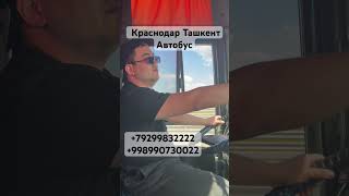 ташкент автобус rek волгоград ростов КраснодарСочиНовороссийскАнапаЯлта [upl. by Annodal]