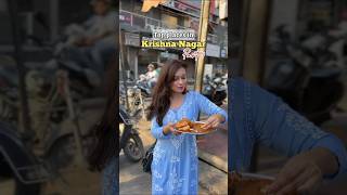 Top Places in Krishna Nagar East Delhi delhistreetfood [upl. by Hiro]