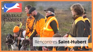 Les Rencontres SaintHubert pour le chasseur et son chien de chasse [upl. by Ahtel]