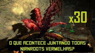 Skyrim  O que acontece ao juntar todas Nirnroots Vermelhas  Crimson [upl. by Eednarb348]