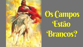 Os Campos Estão Brancos O Que Jesus Quis Dizer [upl. by Ahselet]