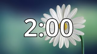 2 Minutes Timer with Music  Spring Timer [upl. by Kozloski12]