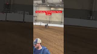 Harrisburg Pennsylvania Farm Show shorts [upl. by Notnroht]