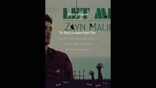 Dusk Till Dawn Karaoke Zayn Malik [upl. by Wengert]