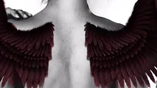 Wings Subliminal Classical Music [upl. by Constant]