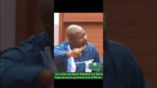 Les vérités du député Mohamed Guy Marius Sagna devant le parlement de la CEDEAO sonkomoydiomaye [upl. by Ybbed707]