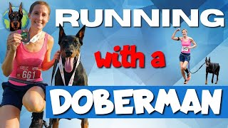 Running with Your Doberman—How to Get Started and Keep Going [upl. by Icram]