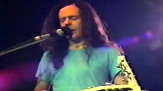 David Lindley Mercury Blues 480p [upl. by Rusel]