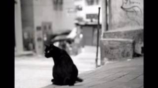 booktrailerla gabbianella e il gatto [upl. by Asit]