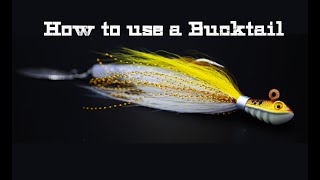 How to use a Bucktail Jig for Striped Bass [upl. by Nimaj372]