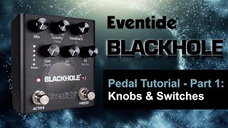 Eventide Blackhole Pedal Tutorial  Part 1 Knobs amp Switches [upl. by Tankoos]