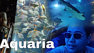 KLCC AQUARIA Malaysia😊🫰🏻🫰🏻 [upl. by Dralliw]