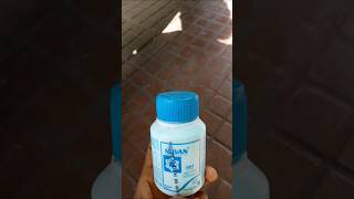 Powerful insecticide to kill dog mites🐕doghealthcare [upl. by Trudnak131]