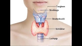 Schildklierproblemen natuurlijk behandelen [upl. by Alton]
