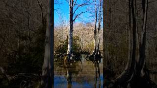 Swamp Tour Slidell Louisiana [upl. by Aknaib376]