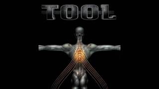 Tool  Pushit Salival  Live FULL SONG HD [upl. by Nagaet]