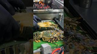 Must Eat Biggest Lobster BBQ food seafood lobster thailand [upl. by Schroeder]