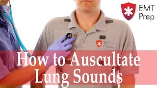 How to Auscultate Lung Sounds  EMTprepcom [upl. by Reine858]