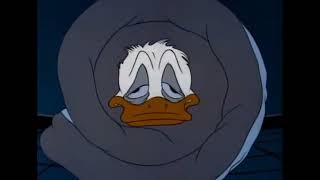 Donald Duck cartoons compilation 2 full episodes [upl. by Ylrahc911]