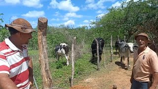 BASTINHO O FAZEDOR DE CERCA DE ARAME FARPADOSÍTIO LIVRAMENTOSOLEDADEPB [upl. by Inail]