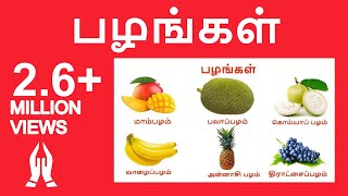 பழங்கள்  Learn Tamil fruits name video for kids and children in Tamil Tamilarasi [upl. by Akimyt]