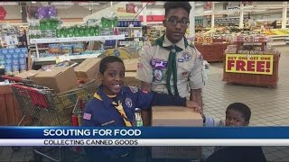 Scouts Collect Food fo Local Pantries [upl. by Pomcroy]