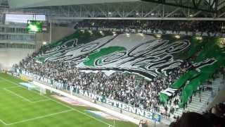 ASSE Saison 2012  2013 [upl. by Ailekahs]