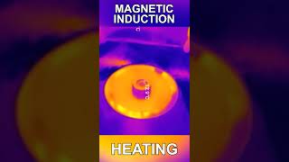 The Power of Magnetic Induction [upl. by Bethina979]