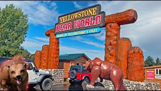 Yellowstone Bear World Drive Thru Wildlife Park  Rexburg Idaho [upl. by Khichabia869]